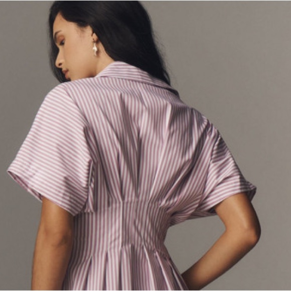 Anthropologie The Tobie Button-Front Pleated Shirt Dress - Picture 10 of 14